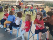 IMG_20241106_174521