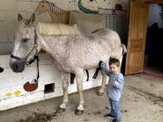 IMG_0571