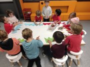 IMG_20241126_174247