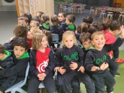 IMG_20241127_173753