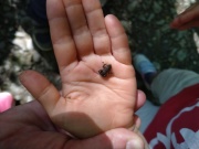 IMG20230601110359
