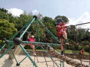 IMG_20230601_125209