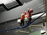 IMG_6581