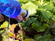 IMG_20190329_154640
