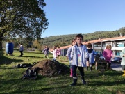 IMG_20201112_150908