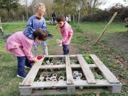 IMG_20201126_150807