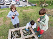 IMG_20201126_150852