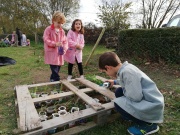 IMG_20201126_151035