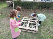 IMG_20201126_151138