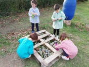IMG_20201126_151145