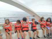 IMG-20250611-WA0029