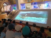 IMG_20250611_125356554