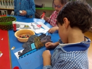 IMG_20170512_152108