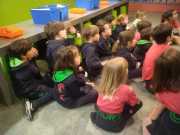 IMG-20250507-WA0018