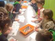 IMG-20250507-WA0024