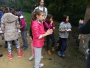 20181113_104608 fitxategiaren kopia