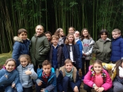 IMG_20181113_100900_257