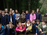 IMG_20181113_100905_051