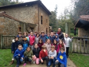 IMG_20181113_101228_526