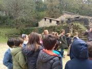 IMG_20181113_101702_797