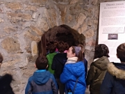 IMG_20181113_105245_173