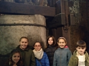 IMG_20181113_110103_524