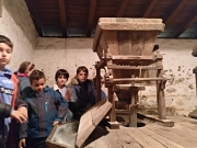 IMG_20181113_111917_547