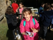 IMG_20181113_113938_294