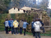 IMG_20181113_114841_070