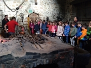 IMG_20181113_115220_987