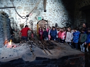 IMG_20181113_115253_045