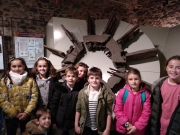 IMG_20181113_115631_884