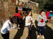 IMG_20181114_112317