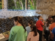 IMG20241107104958