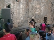IMG20241107105816