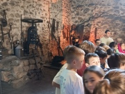 IMG20241107105943