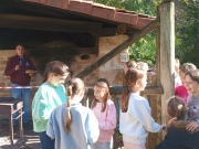 IMG20241107120457