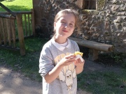 IMG20241107120717