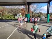 IMG_20241204_122332