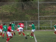 P3300529