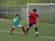 P3300608