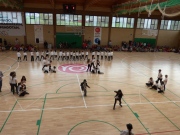 P1060522