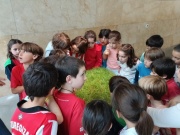IMG_20260423_111647436