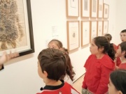 IMG_20260423_112030620