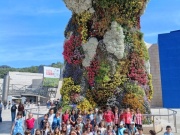 IMG_20260423_120611639_HDR