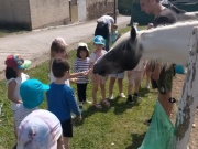 IMG20220602115922