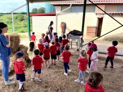 Ibilaldia 3 urte (2026-06-3)