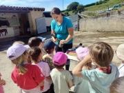 IMG_20260603_111018