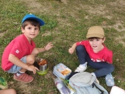 IMG_20260603_131741_1