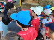 IMG20240606115715